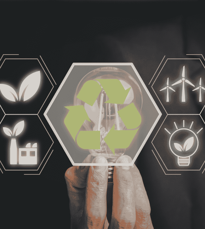 Control and Governance for Sustainable Business Platform Growth